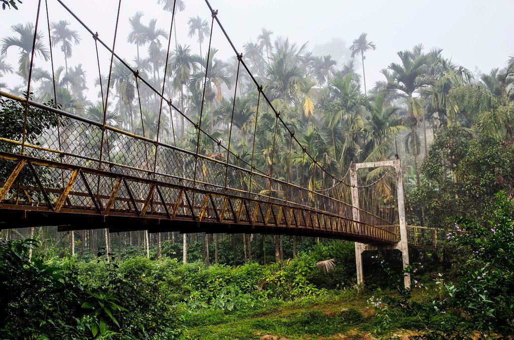 Bridge at CoffeeGudda