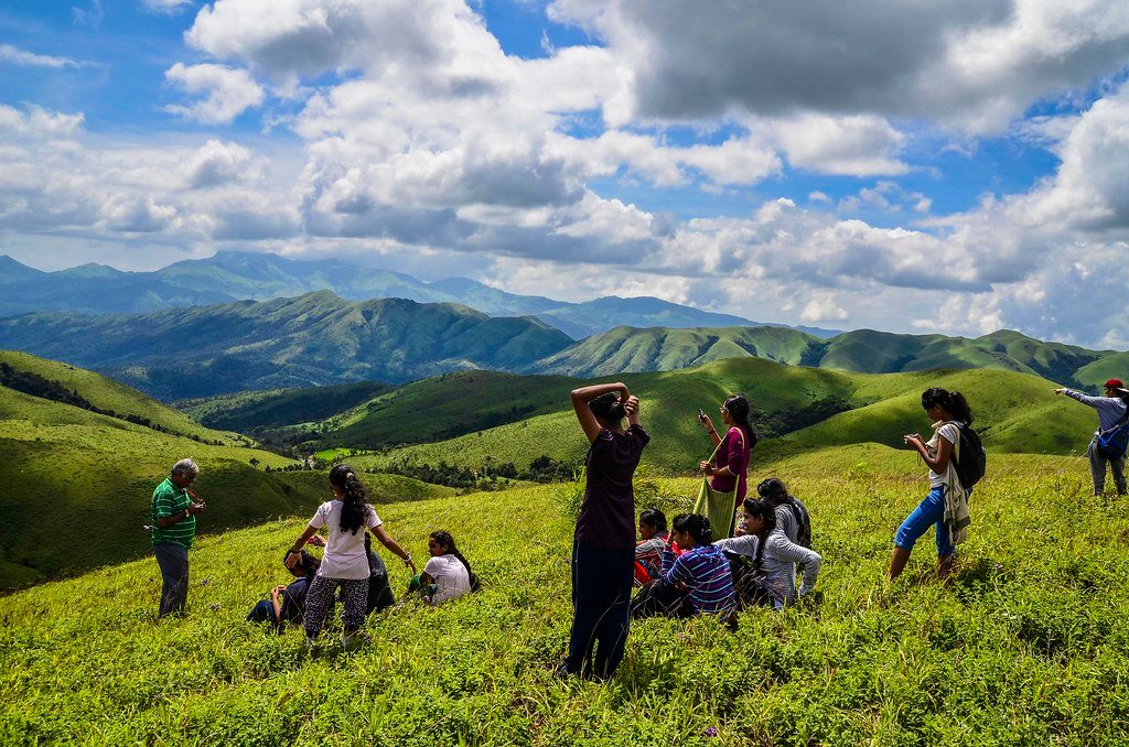Hills around CoffeeGudda